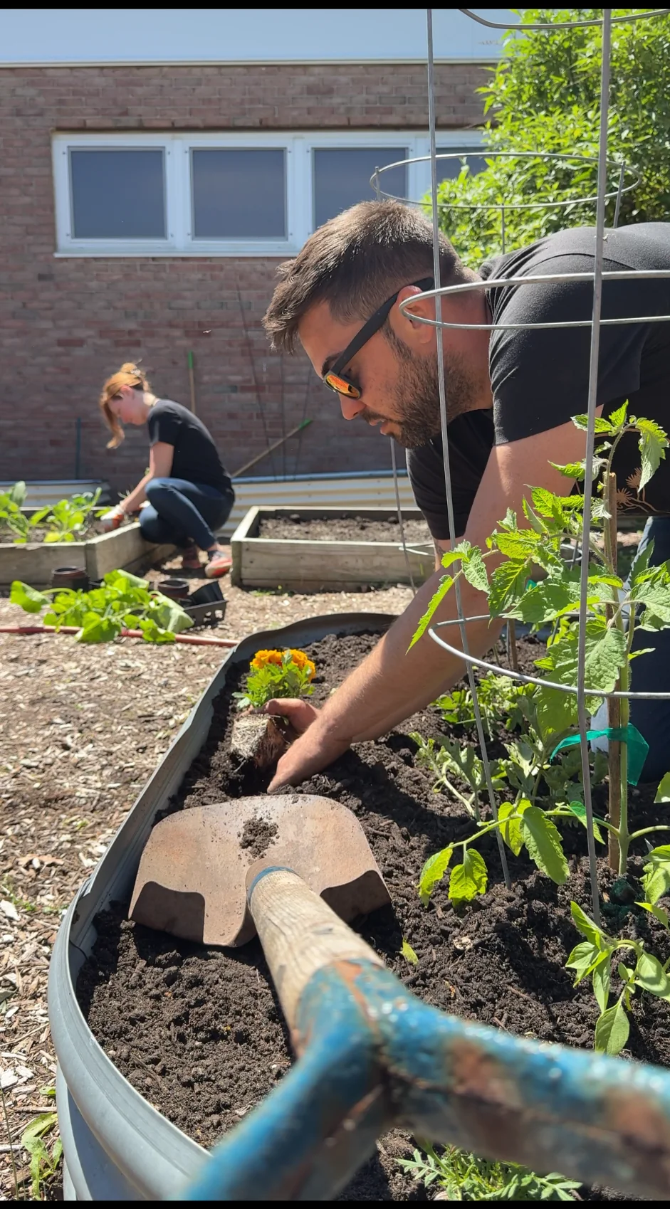 Planting in a raised garden bed