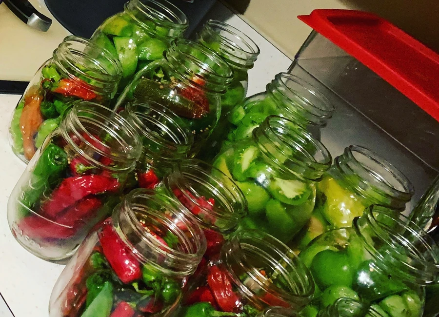 Fresh garden peppers packed into jars for preservation